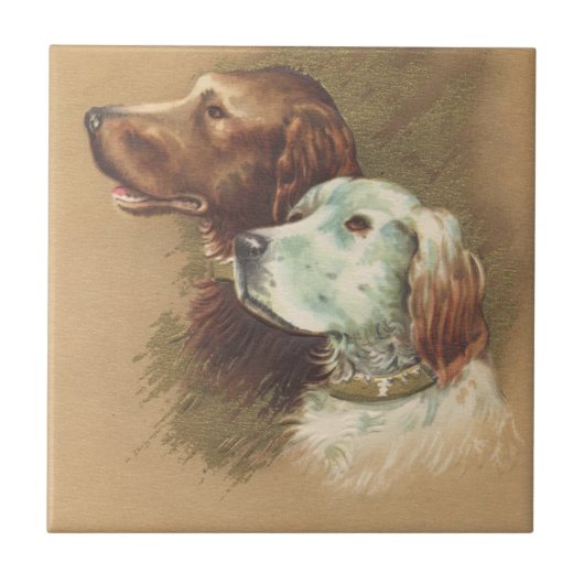 Eén bruine en één witte hond tegeltje (Voorkant)