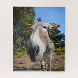 Een bruine ezel portret op een zonnige zomerdag legpuzzel