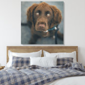 Een bruine hond. canvas afdruk (Insitu (Slaapkamer))