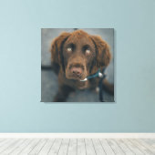Een bruine hond. canvas afdruk (Insitu (Houten vloer))