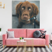 Een bruine hond. canvas afdruk (Insitu (Woonkamer))