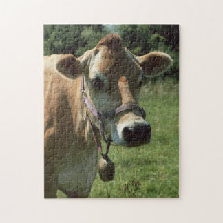Een bruine Jersey koe in Summer Meadow puzzle Legpuzzel