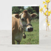 Een bruine jersey Koe in zomerweide Wenskaart Kaart (Gele Bloem)