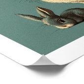 Een  bruine konijn en grijze Bunny Poster (Hoek)