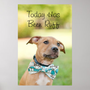 Een bruine puppy draagt een kleurrijk Stropdas Poster