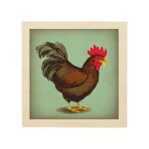 Een bruine rooster