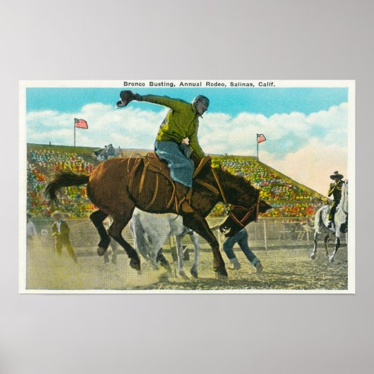Een Bucking Bronco bij de jaarlijkse Salinas Rodeo Poster (Voorkant)