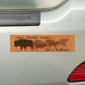 Een bufferbumpersticker zijn bumpersticker (Op auto)