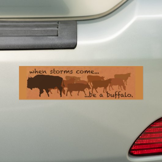 Een bufferbumpersticker zijn bumpersticker (Op auto)
