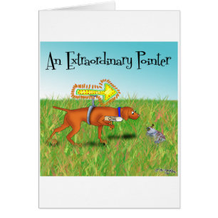 Een buitengewone aanwijzer