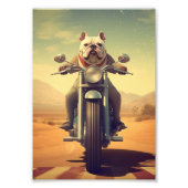 Een buldog rijden op een motorfiets op een woestij foto afdruk (Voorkant)