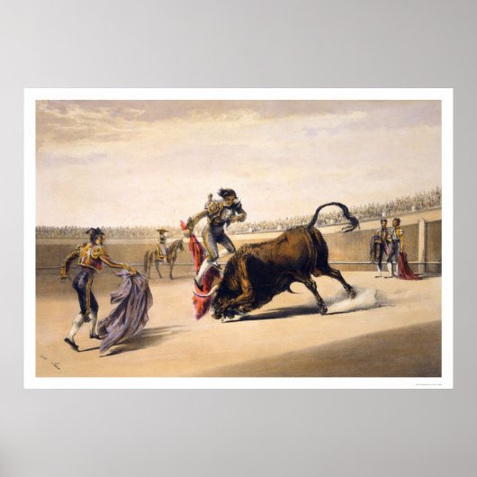 Een bull lekken poster (Voorkant)