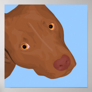 Een bull portret dat van de Stomme Pit uit Poster