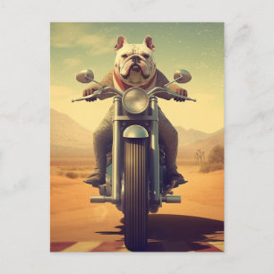 Een Bulldog Rijden op een Motorcycle in de woestij Briefkaart