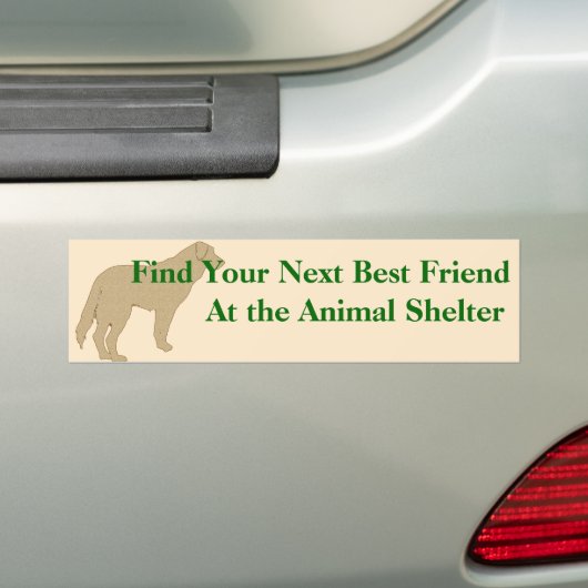Een Bumpersticker 4 aannemen (Op auto)