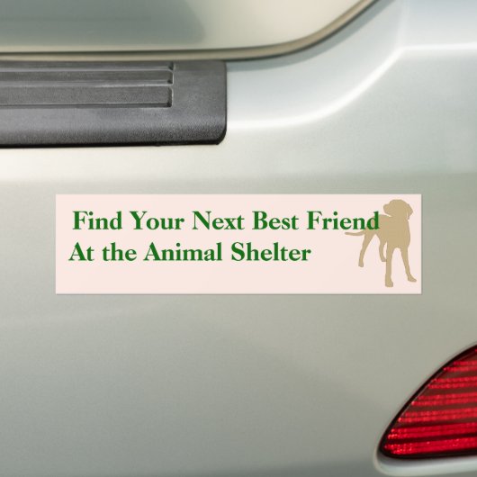 Een Bumpersticker aannemen 5 (Op auto)