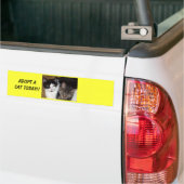 Een Bumpersticker Kat aannemen (Op Truck)