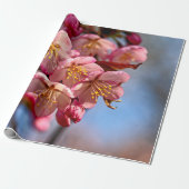 Een bunch van zoete Sakura Cherry Blossom Cadeaupapier (Uitgerold)