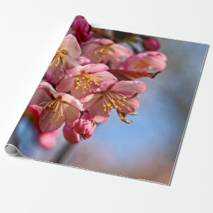 Een bunch van zoete Sakura Cherry Blossom Cadeaupapier