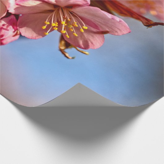 Een bunch van zoete Sakura Cherry Blossom Cadeaupapier (Hoek)