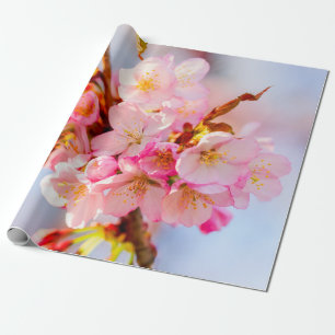 Een bundel Schattige en zoete Sakura-bloemen Cadeaupapier