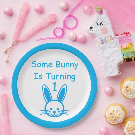 Een Bunny draait om een dag Papieren Bordje (Feest)