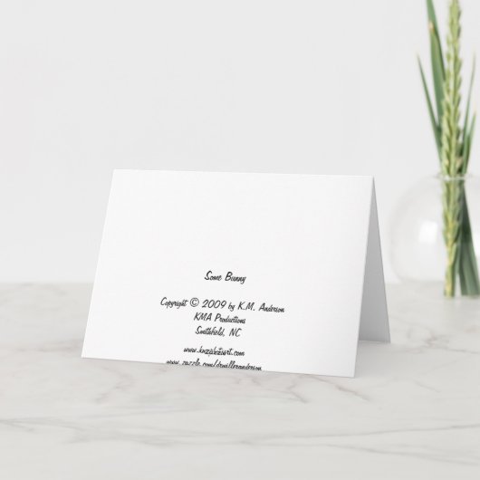 Een Bunny Feestdagen Kaart (Achterkant)