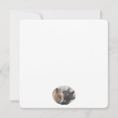 Een Bunny houdt van je (Achterkant)