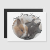 Een Bunny houdt van je (Voorkant / Achterkant)