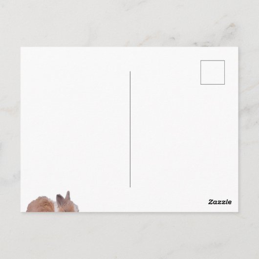 Een Bunny houdt van je Briefkaart (Achterkant)