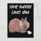 Een Bunny houdt van je Briefkaart (Voorkant)
