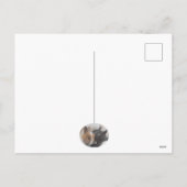 Een Bunny houdt van je Feestdagenkaart (Achterkant)