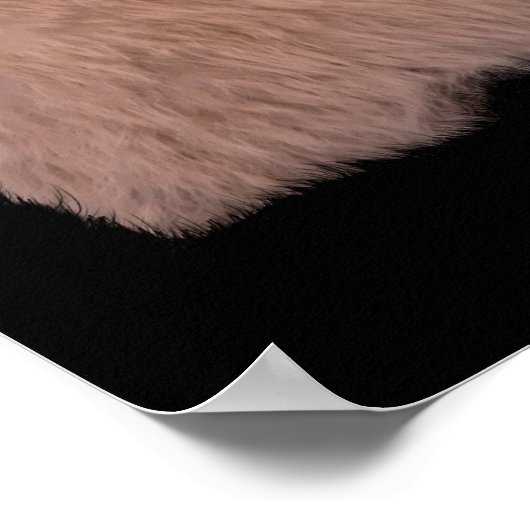 Een Bunny houdt van je Poster (Hoek)