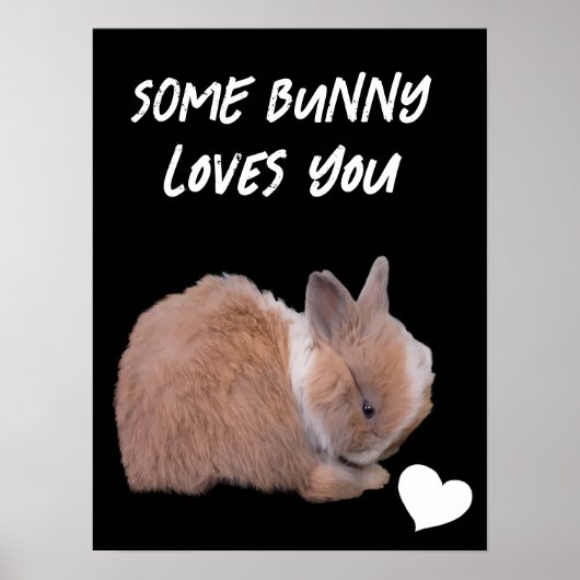 Een Bunny houdt van je Poster (Voorkant)