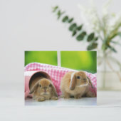 Een Bunny houdt van me Briefkaart (Staand voorkant)