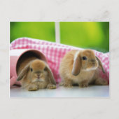 Een Bunny houdt van me Briefkaart (Voorkant)