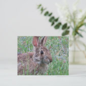 Een Bunny Rabbit in Wildbloemen Meadow Scene Briefkaart (Staand voorkant)