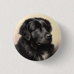 Een Button van Newfoundland