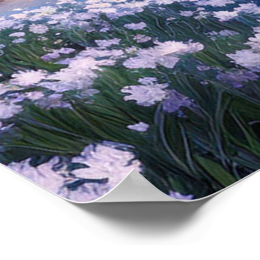 Een Calm-rivier in een Bed van Witte Bloemen Poster (Hoek)