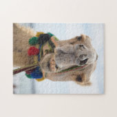 Een Camel Smile Legpuzzel (Horizontaal)