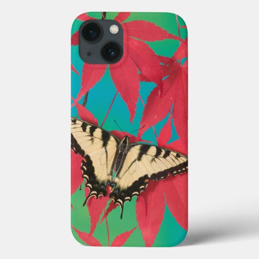 Een Canadese tijger Swallowtail Butterfly Case-Mate iPhone Case (Achterkant)