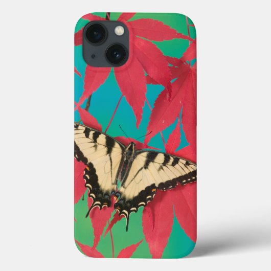 Een Canadese tijger Swallowtail Butterfly Case-Mate iPhone Case (Achterkant)