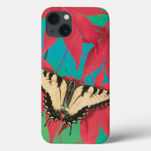 Een Canadese tijger Swallowtail Butterfly Case-Mate iPhone Case