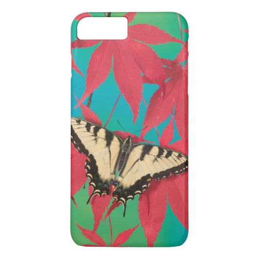 Een Canadese tijger Swallowtail Butterfly Case-Mate iPhone Case (Achterkant)
