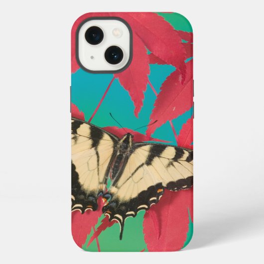 Een Canadese tijger Swallowtail Butterfly iPhone Hoesje (Achterkant)