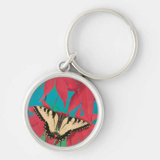 Een Canadese tijger Swallowtail Butterfly Sleutelhanger (Voorkant)