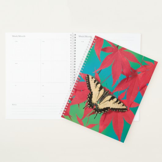 Een Canadese tijgerzwaluwstaartvlinder Planner (Display)