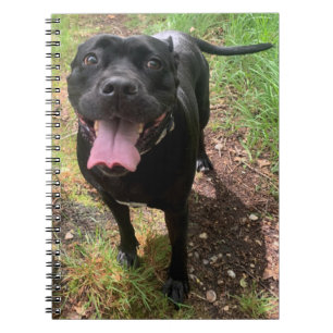 Een Cane Corso X-laptop Notitieboek