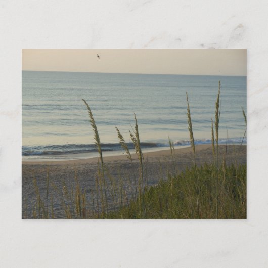 Een Carolina Beach Briefkaart (Voorkant)