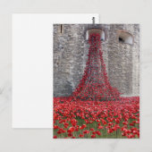 Een cascade van papavers in de toren van Londen Briefkaart (Voorkant / Achterkant)